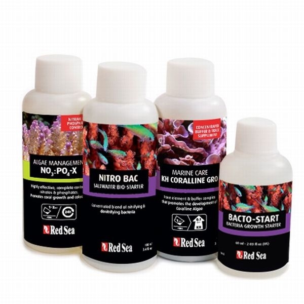 ��åɥ������꡼�եޥ��奢�����������������åȡ�[7290100774144]