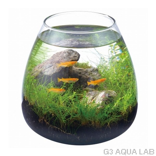 GEX�����饹�������ꥦ�ࡡ�ƥ�������[4972547032591]