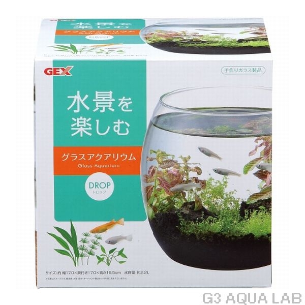 GEX�����饹�������ꥦ�ࡡ�ɥ��åס�[4972547032607]