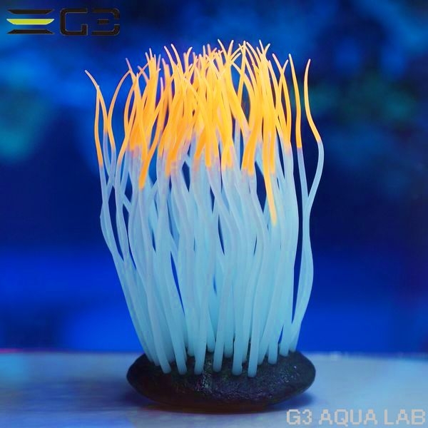 ���ߥϥ�������������㤯�󡡥���󥸡�M��������[4971664009530]