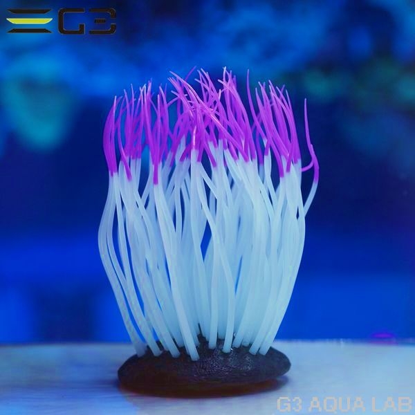 ���ߥϥ�������������㤯�󡡥ѡ��ץ롡M��������[4971664009516]