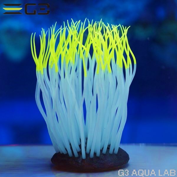 ���ߥϥ�������������㤯�󡡥���������M��������[4971664009547]