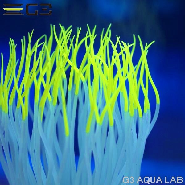 ���ߥϥ�������������㤯�󡡥���������M��������[4971664009547]