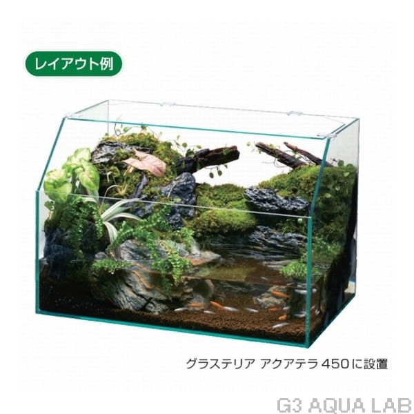 GEX���������ƥ�᡼������[4972547034656]