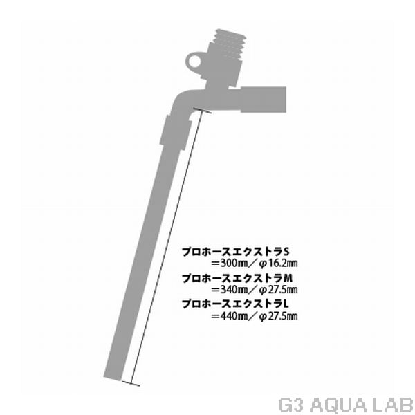 ���ץ��ۡ����������ȥ顡ex-L����4974105005825��