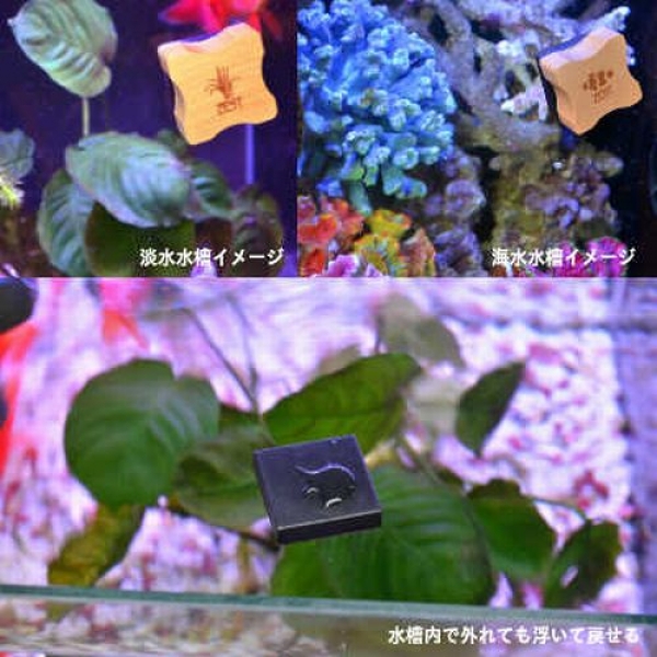 ZEST���ޥ��ͥåȥ��꡼�ʡ���CROSS MAGNET X1��[4934743012500]