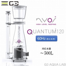 �ڼ��󤻡�ZEST NYOS QUANTUM 120��60Hz��