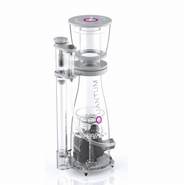 �ڼ��󤻡�ZEST NYOS QUANTUM 120��50Hz��