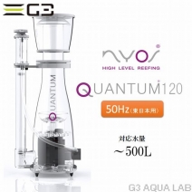 �ڼ��󤻡�ZEST NYOS QUANTUM 120��50Hz��