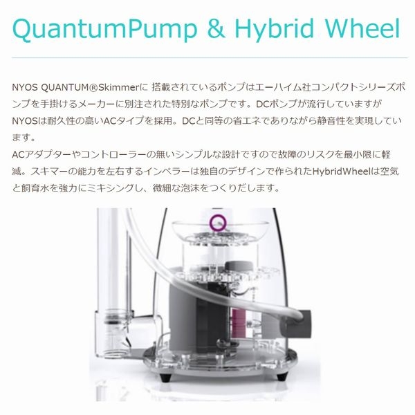 【取り寄せ】ZEST NYOS QUANTUM 160 50Hz用