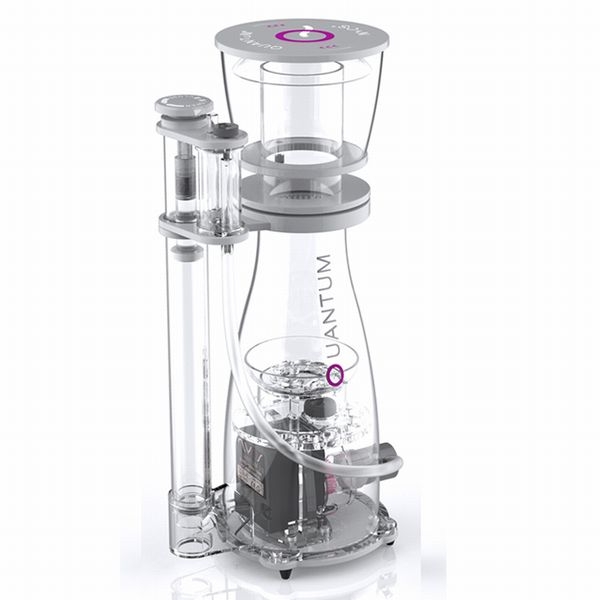 【取り寄せ】ZEST NYOS QUANTUM 220 60Hz用