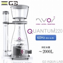 �ڼ��󤻡�ZEST NYOS QUANTUM 220��60Hz��