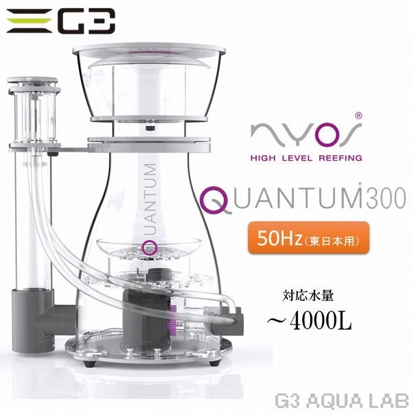 【取り寄せ】ZEST NYOS QUANTUM 330 50Hz用