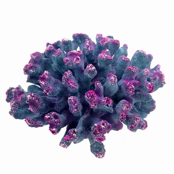 ZEST����ץꥫ���󥴡�M-1��[4934743012302]