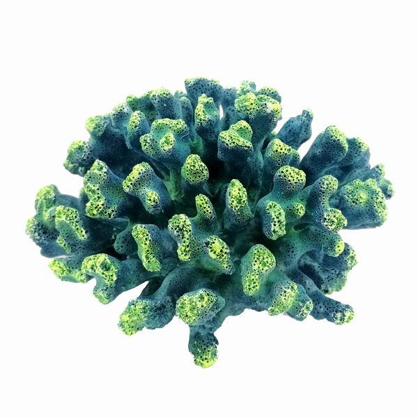 ZEST����ץꥫ���󥴡�M-2��[4934743012319]