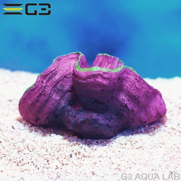 ZEST����ץꥫ���󥴡�S-1��[4934743012326]