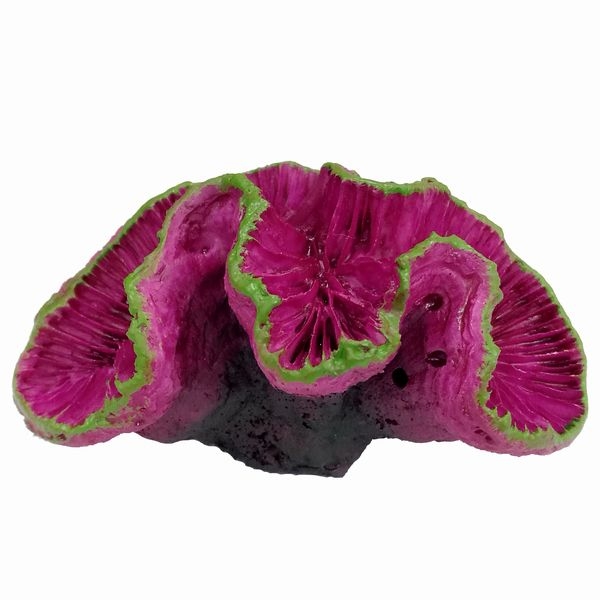 ZEST����ץꥫ���󥴡�S-1��[4934743012326]