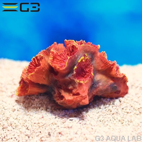 ZEST����ץꥫ���󥴡�S-2��[4934743012333]