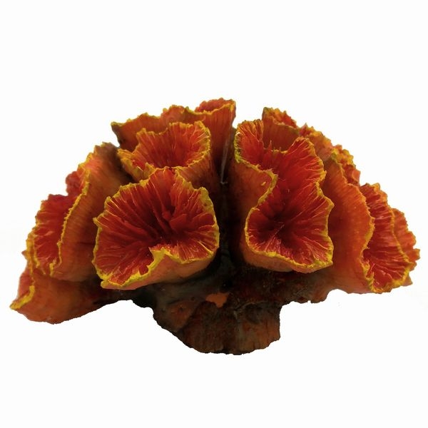 ZEST����ץꥫ���󥴡�S-2��[4934743012333]