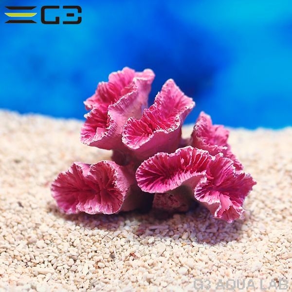 ZEST����ץꥫ���󥴡�S-3��[4934743012340]