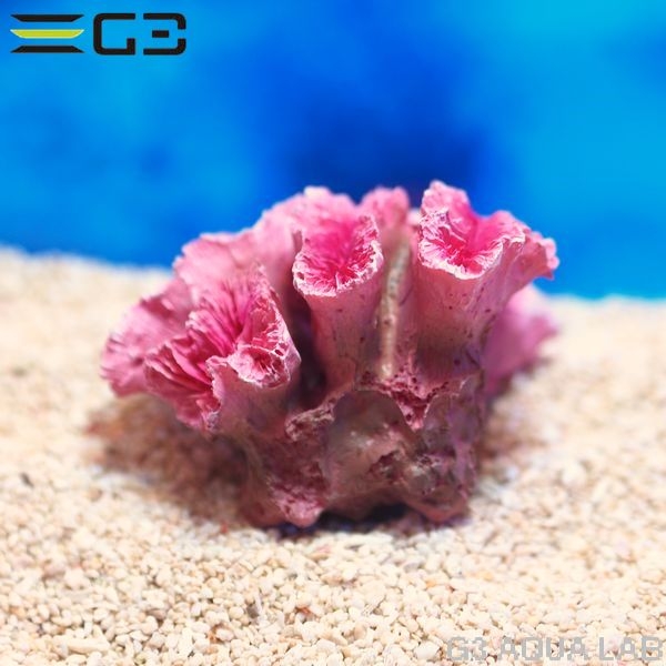 ZEST����ץꥫ���󥴡�S-3��[4934743012340]