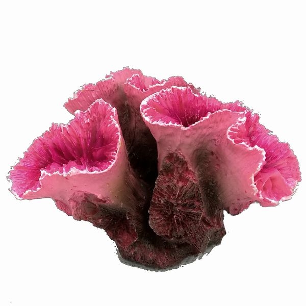 ZEST����ץꥫ���󥴡�S-3��[4934743012340]