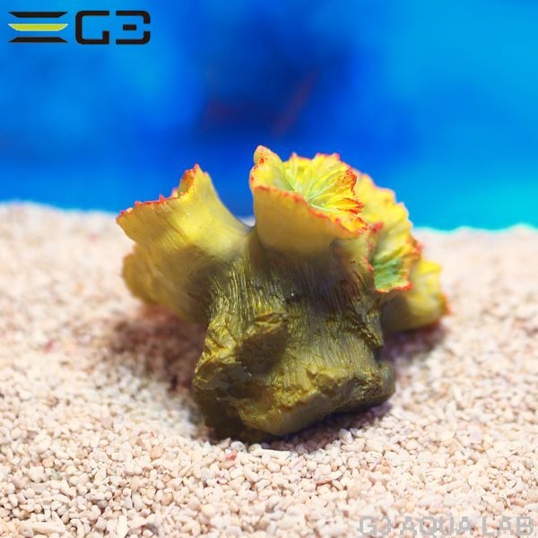 ZEST����ץꥫ���󥴡�S-4��[4934743012357]