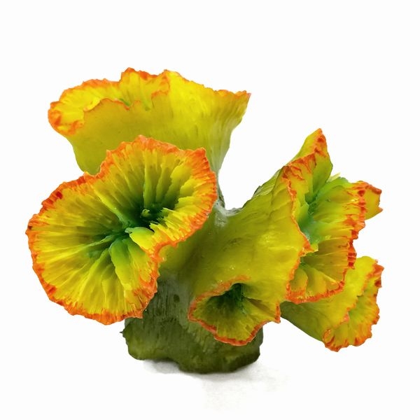 ZEST����ץꥫ���󥴡�S-4��[4934743012357]