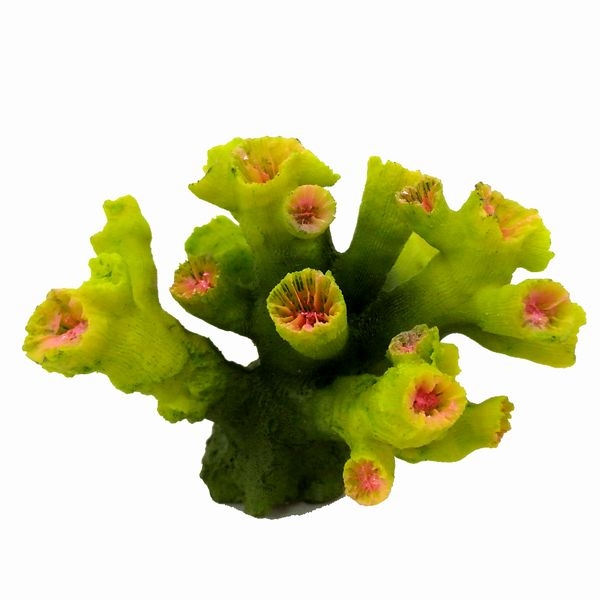 ZEST����ץꥫ���󥴡�S-5��[4934743012364]