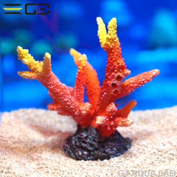 ZEST����ץꥫ���󥴡�M-3��[4934743012371]