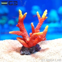 ZEST����ץꥫ���󥴡�M-3��[4934743012371]