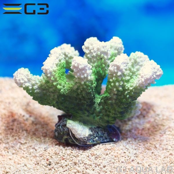 ZEST����ץꥫ���󥴡�S-6��[4934743012395]