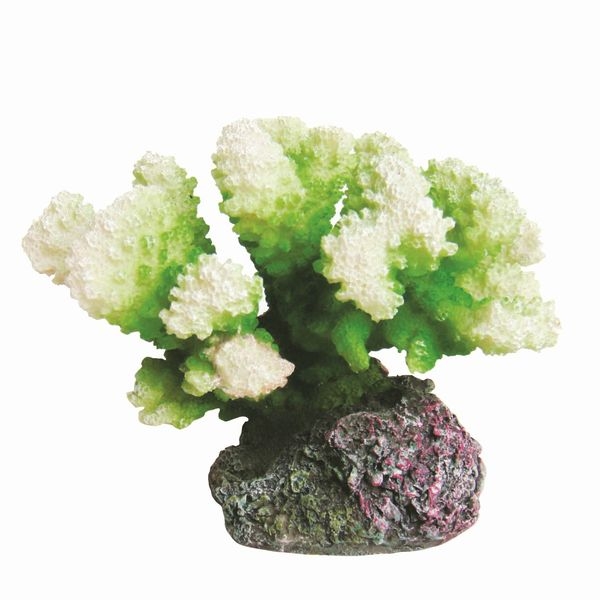 ZEST����ץꥫ���󥴡�S-6��[4934743012395]