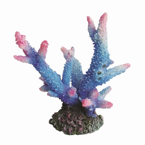 ZEST����ץꥫ���󥴡�M-4��[4934743012388]