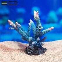 ZEST����ץꥫ���󥴡�M-4��[4934743012388]