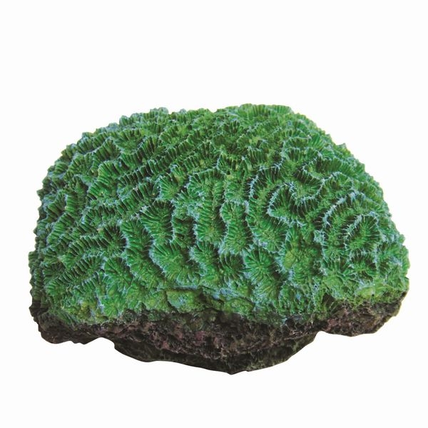 ZEST����ץꥫ���󥴡�S-7��[4934743012418]