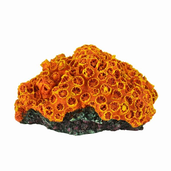 ZEST����ץꥫ���󥴡�S-8��[4934743012425]