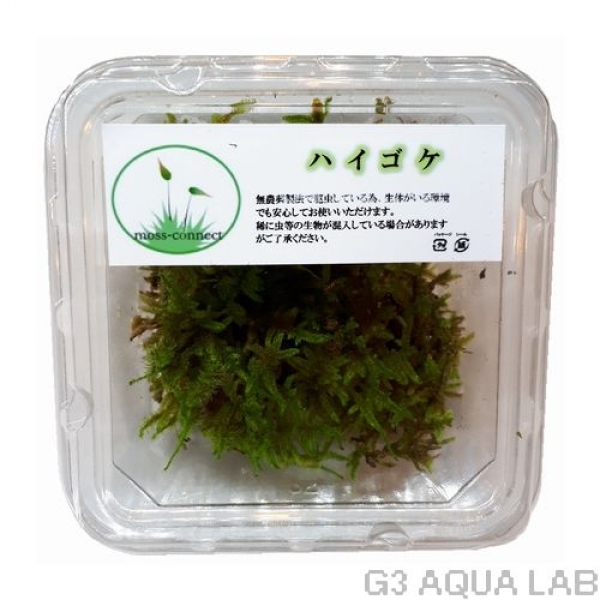 �ϥ�������moss-connect������7cm x 7cm��1���å�
