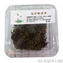 �ҥ���������moss-connect������7cm x 7cm��1���å�