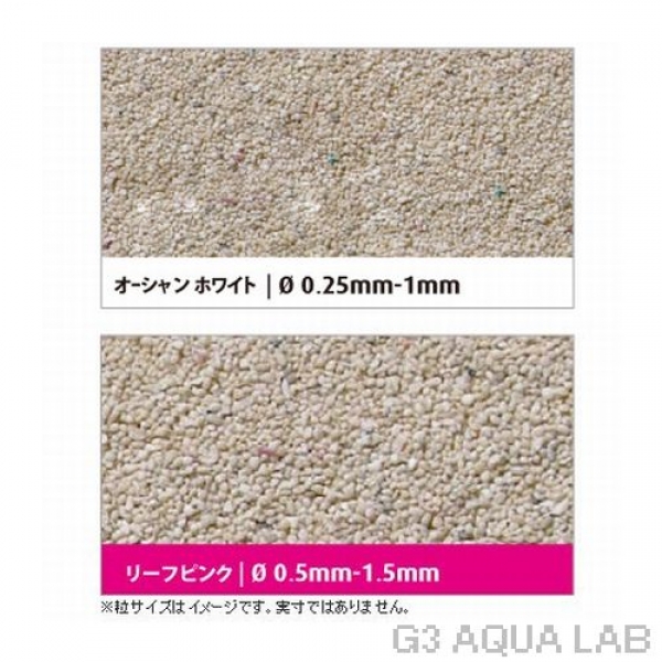 ��åɥ������饤�֥꡼�ե١������ۥ磻�ȡ�2��Ʊ����[7290100774786]