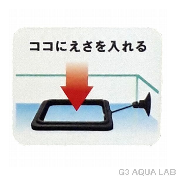 �ե����ȥ��ơ������ L �������������ס�[4580290403492]