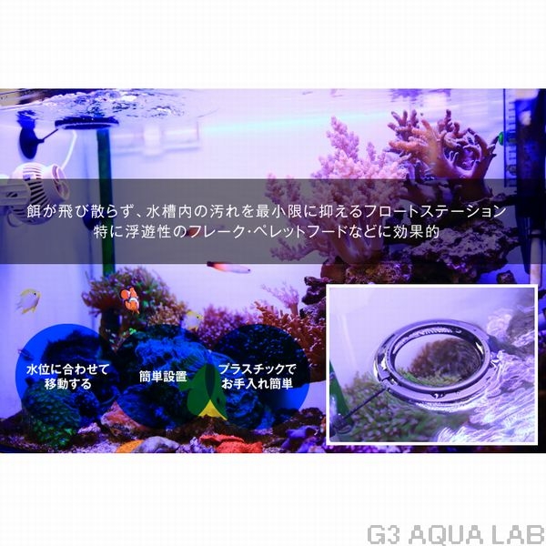 �ե����ȥ��ơ������ L �������������ס�[4580290403492]