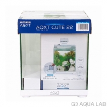 ȥ֥AQXT CUTE 22ʥȥ塼22[4972814015005]