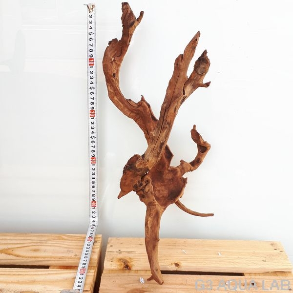 No,33 ADAホーンウッド風流木 Lサイズ約20〜50cm