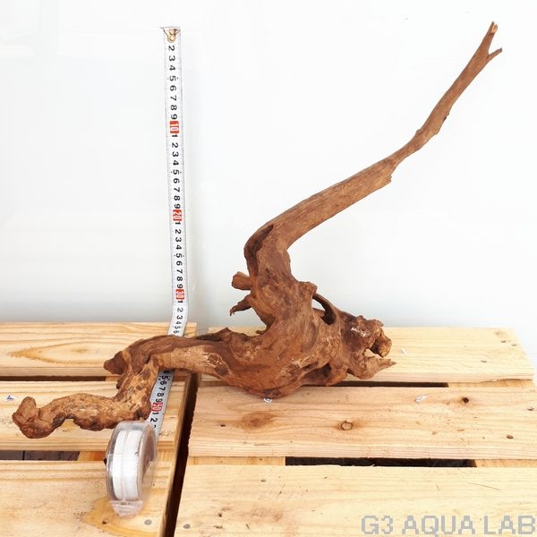 No,34 ADAホーンウッド風流木 Lサイズ約20〜50cm