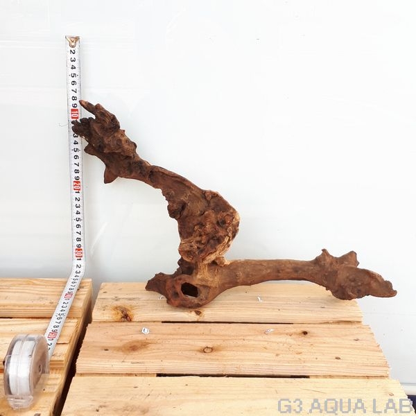 No,37 ADAホーンウッド風流木 Lサイズ約20〜50cm