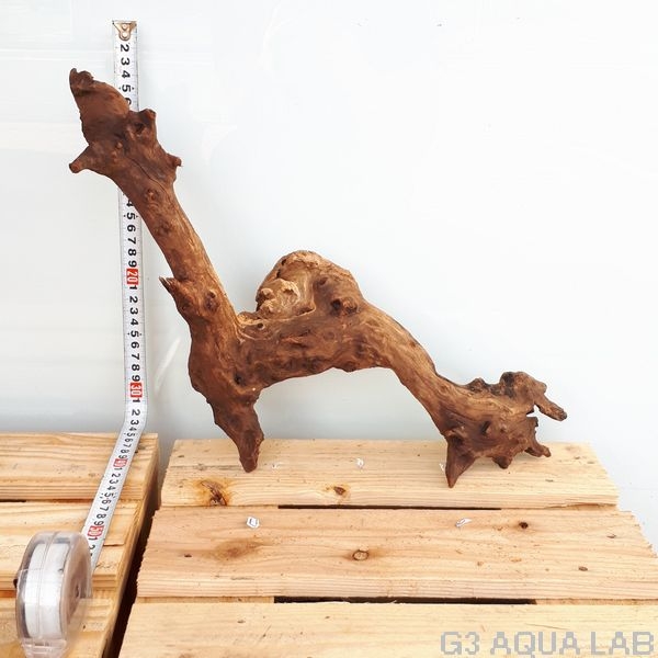 No,37 ADAホーンウッド風流木 Lサイズ約20〜50cm