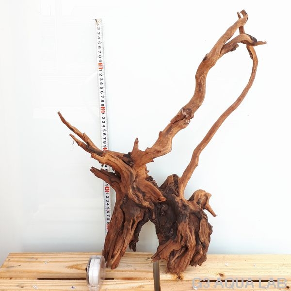 No,38 ADAホーンウッド風流木 Lサイズ約20〜50cm