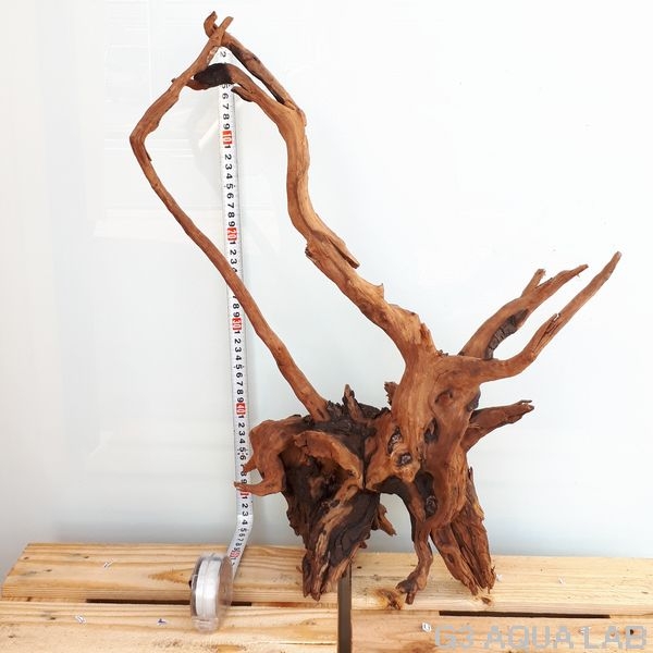 No,38 ADAホーンウッド風流木 Lサイズ約20〜50cm