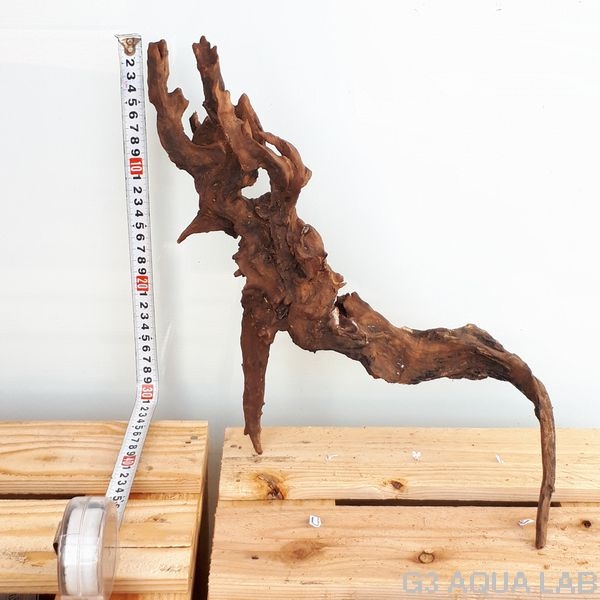 No,39 ADAホーンウッド風流木 Lサイズ約20〜50cm